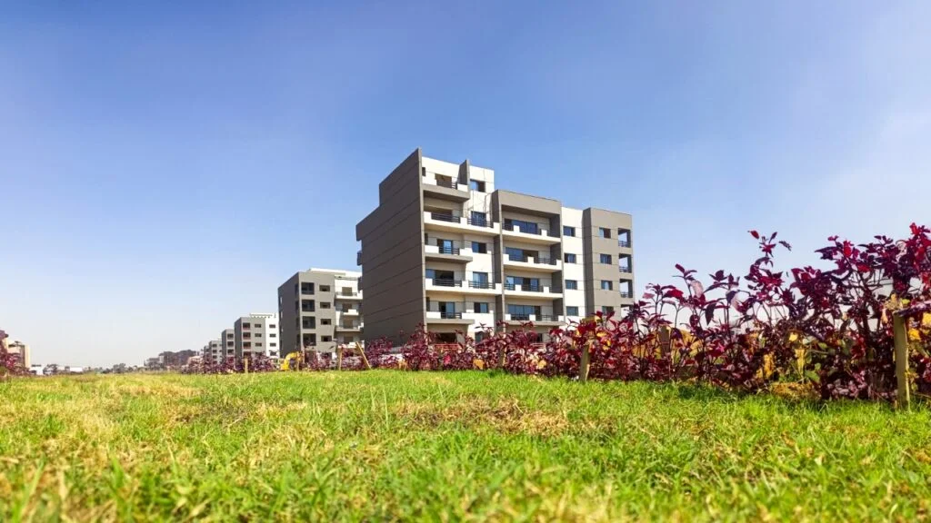 ستودا - صورة 4